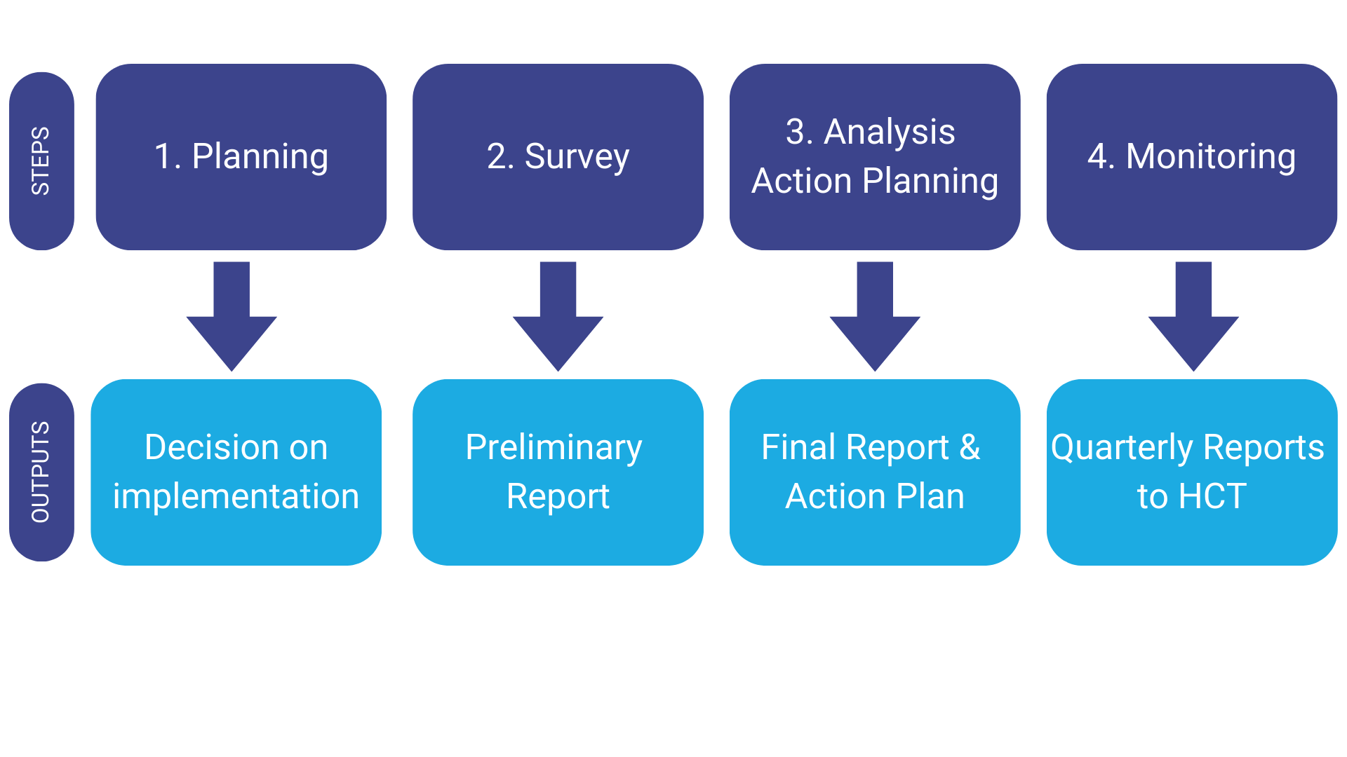 Steps: Planning, Survey, Analysis Action Planning, Monitoring. Outputs: Decision on implementation, preliminary report, final report & action plan, quarterly reports to HCT