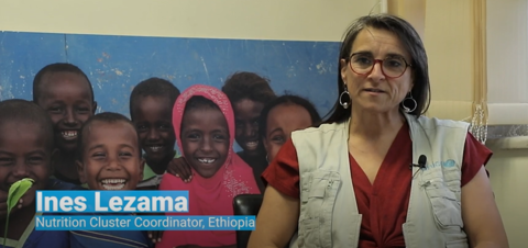 Navigating Cluster Coordination: A Field Perspective With Ines Lezama, Cluster Coordinator in Ethiopia image