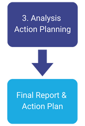 Analysis Action Planning -> Final Report & Action Plan